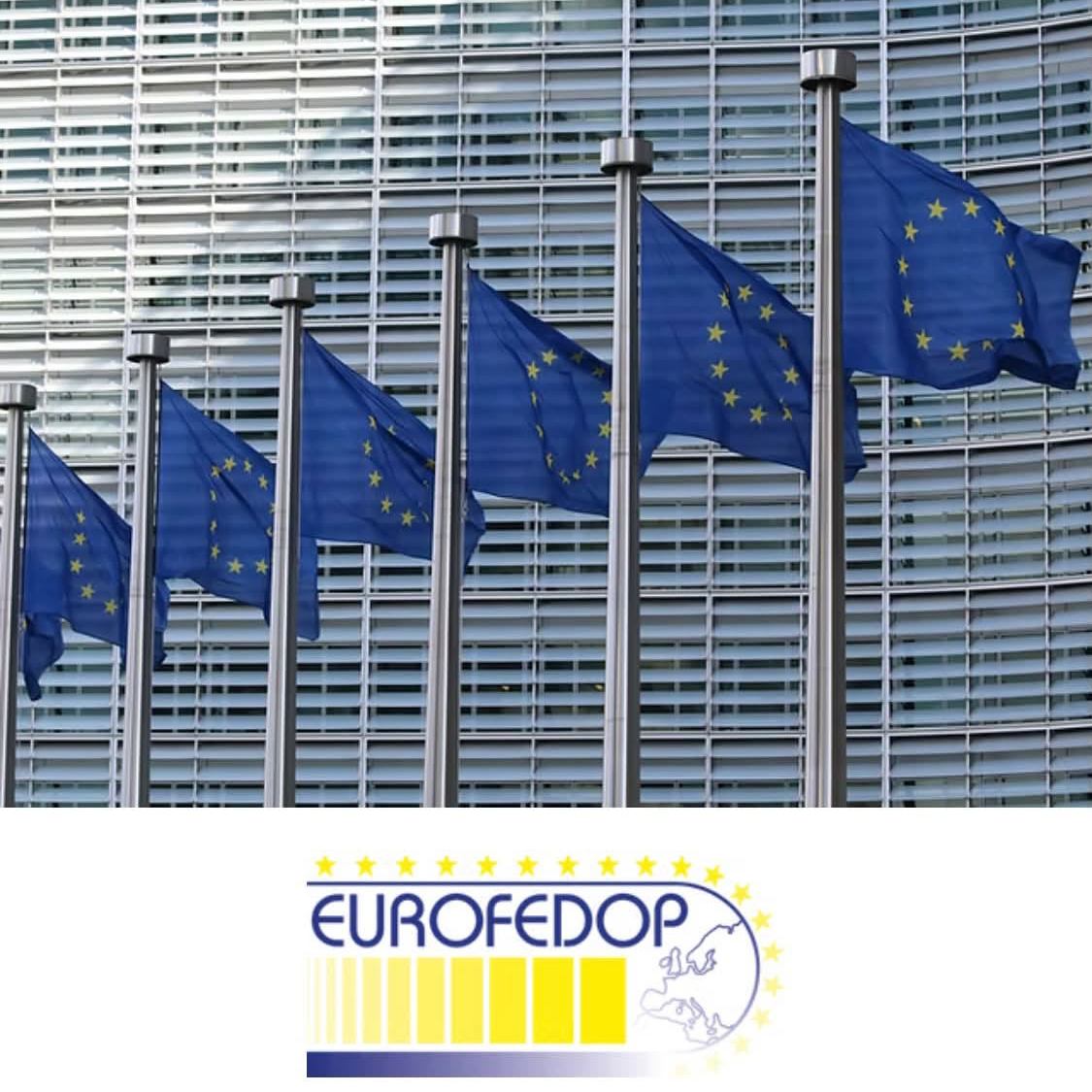 Steaguri cu drapelul Uniunii Europene si logo EUROFEDOP
